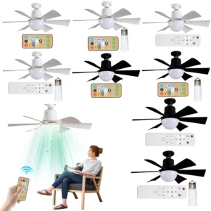 Ceiling Fan Light with Remote 3 Gear